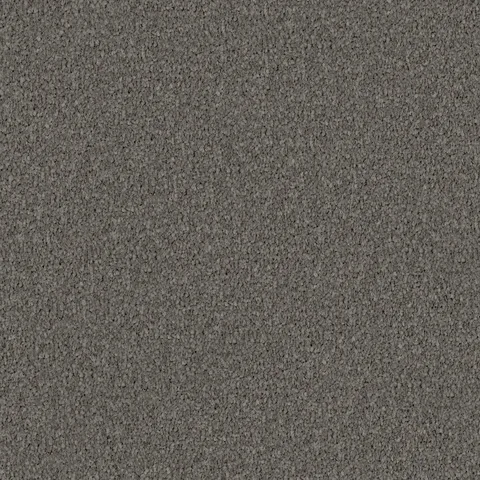 Silver Haze carpet swatch